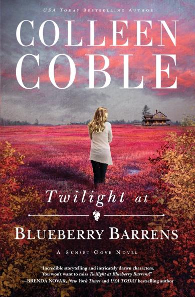 A Twilight at Blueberry Barrens