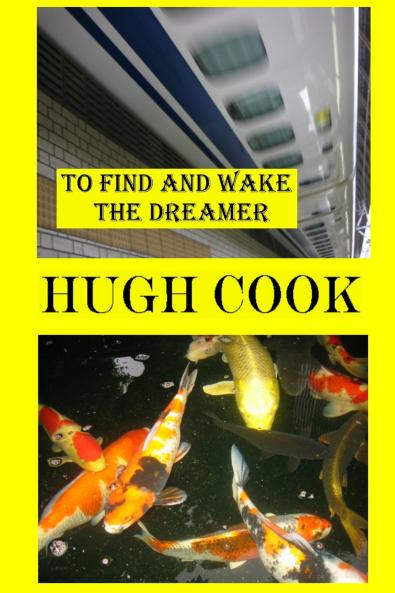 To Find and Wake the Dreamer