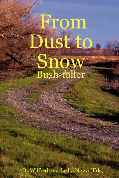 From Dust to Snow