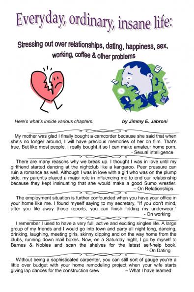 Everyday Ordinary Insane Life
