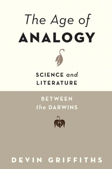Age of Analogy