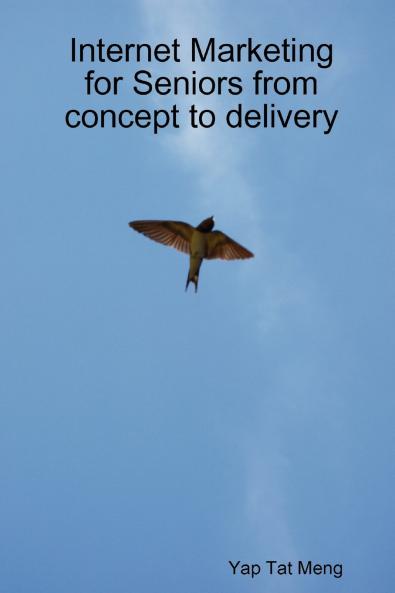 Internet Marketing for Seniors from concept to delivery