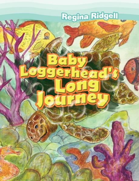 Baby Loggerhead's Long Journey