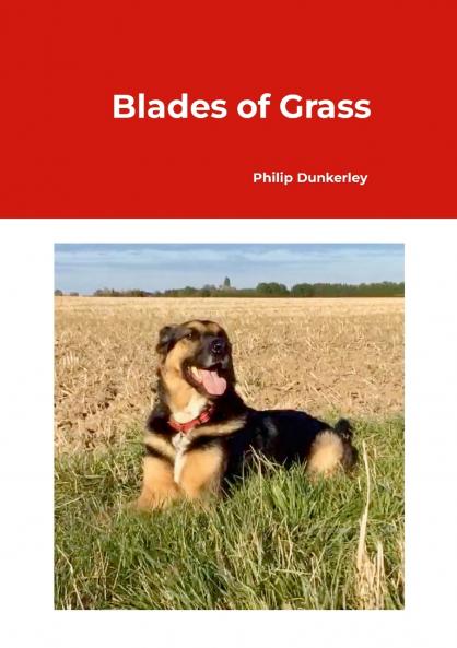 Blades of Grass