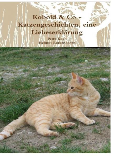 Kobold & Co - Katzengeschichten eine Liebeserklärung