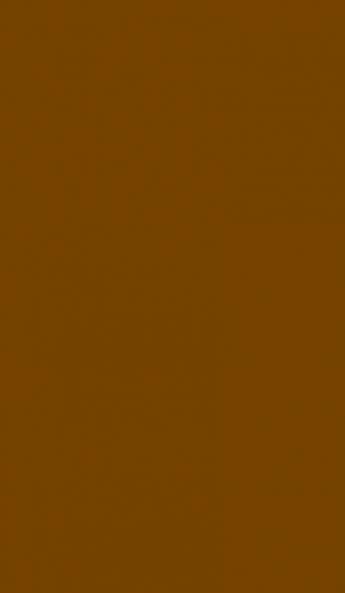 Ce truc marron au mur