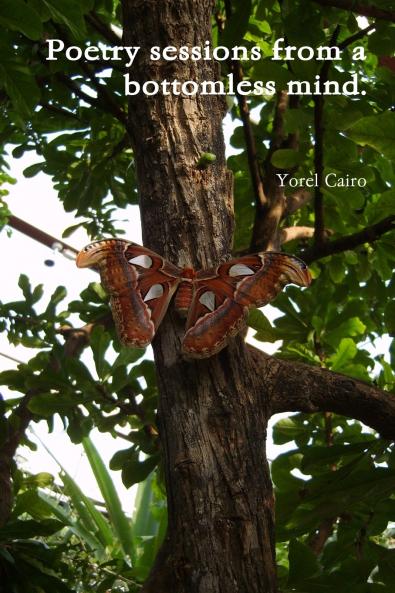 Poetry Sessions from a bottomless mind.