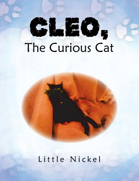 Cleo the Curious Cat