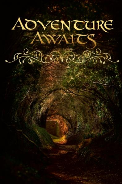 Dreamer Bullet Journal