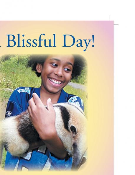 A Blissful Day!