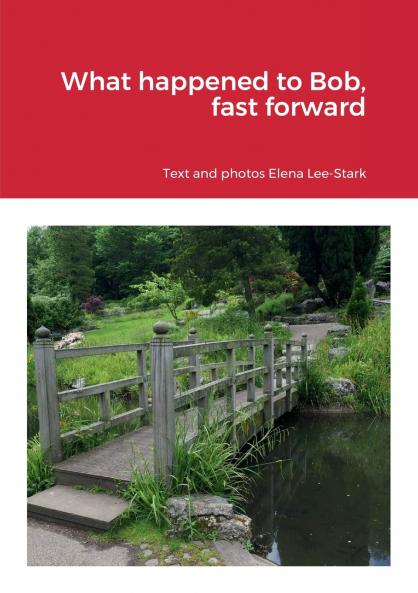 What happened to Bob fast forward