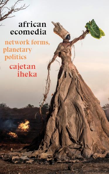African Ecomedia