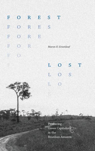 Forest Lost