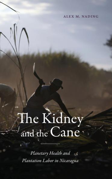 The Kidney and the Cane