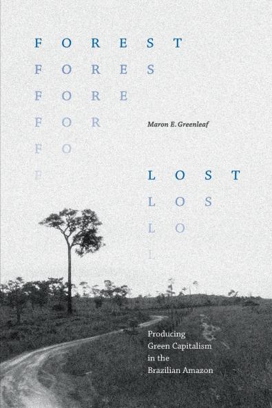 Forest Lost