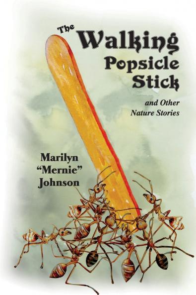 The Walking Popsicle Stick