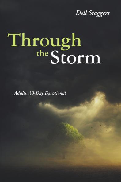 Through the Storm