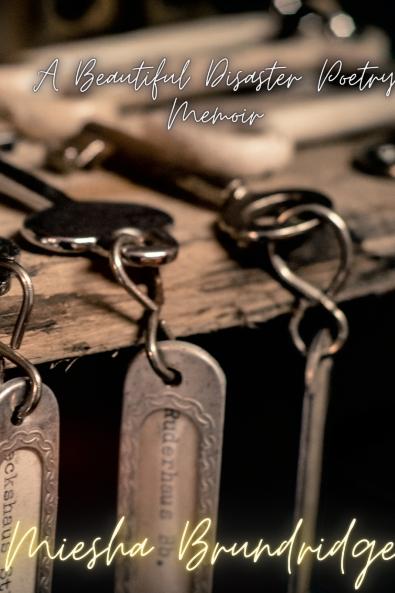 A Beautiful Disaster