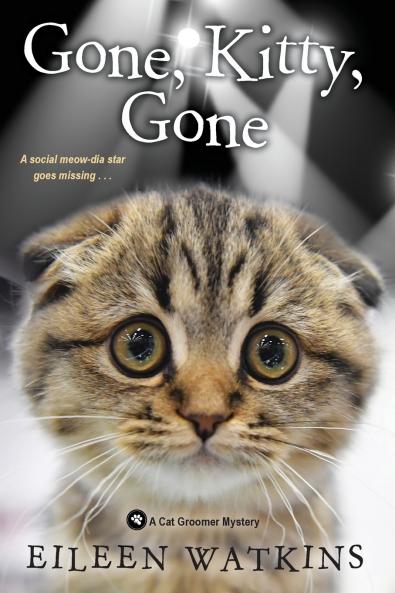 Gone Kitty Gone
