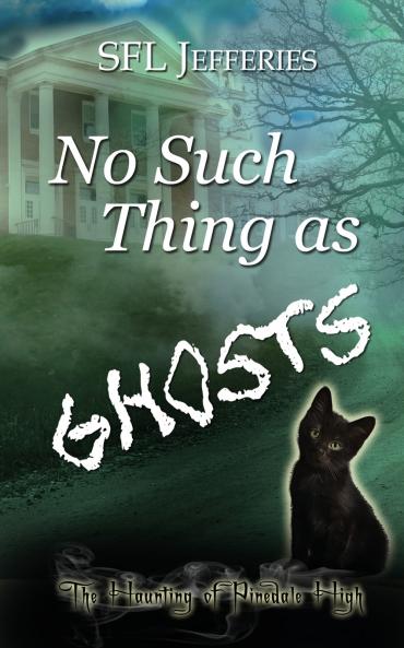 No Such Thing as Ghosts