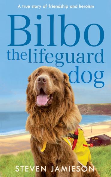 Bilbo the Lifeguard Dog
