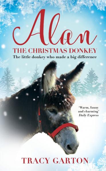 Alan The Christmas Donkey