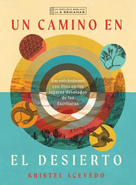 Un camino en el desierto