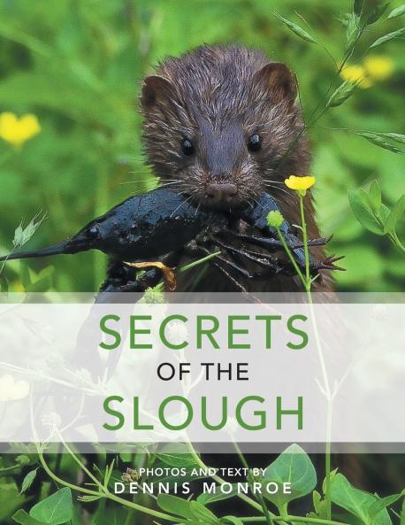 Secrets of the Slough