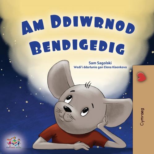 A Wonderful Day (Welsh Book for Children)