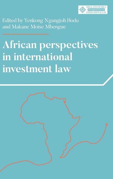 African perspectives in international investment law
