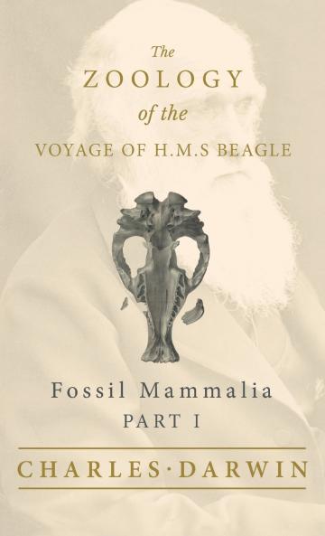 Fossil Mammalia - Part I - The Zoology of the Voyage of H.M.S Beagle