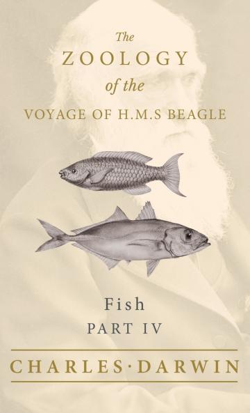 Fish - Part IV -  The Zoology of the Voyage of H.M.S Beagle