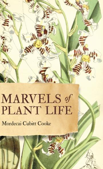 Marvels of Plant Life