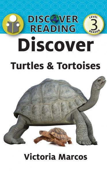 Discover Turtles & Tortoises