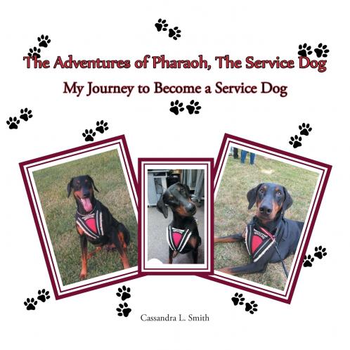 The Adventures of Pharaoh the Service Dog