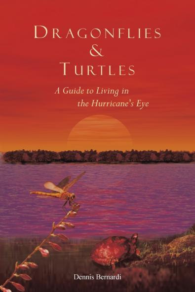 Dragonflies and Turtles