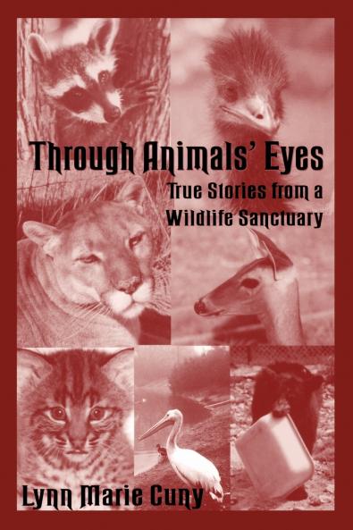 Through Animals' Eyes