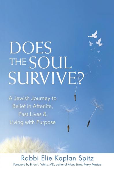 Does the Soul Survive? (2nd Edition)