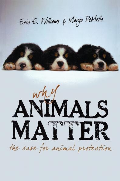 Why Animals Matter