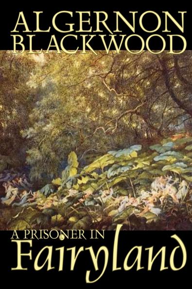 A Prisoner in Fairyland by Algernon Blackwood Fiction Fantasy Mystery & Detective