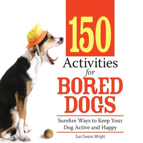 150 Activities for Bored Dogs
