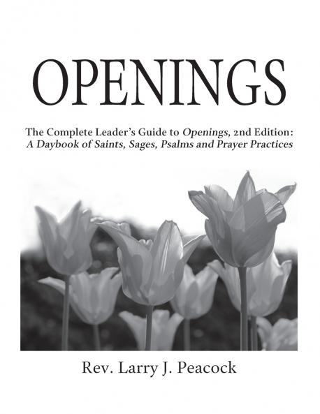Openings Leader Guide 2/E