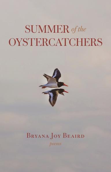 Summer of the Oystercatchers