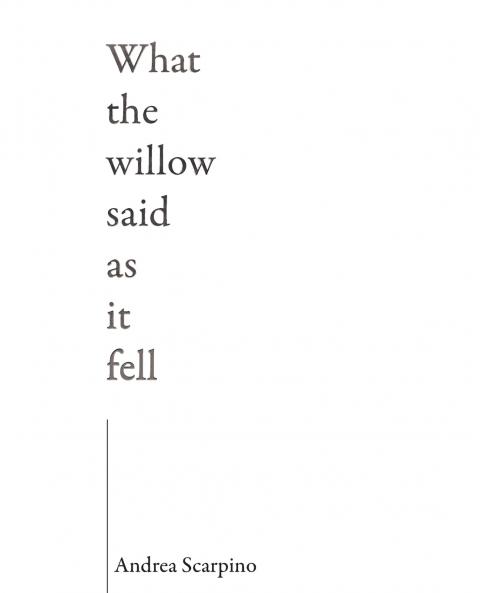 What the Willow Said as It Fell