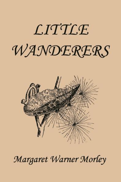 Little Wanderers Illustrated Edition (Yesterday's Classics)
