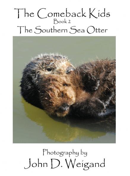 The Comeback Kids Book 2 The Southern Sea Otter