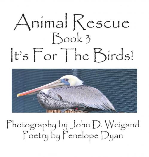 Animal Rescue Book 3 It's for the Birds!