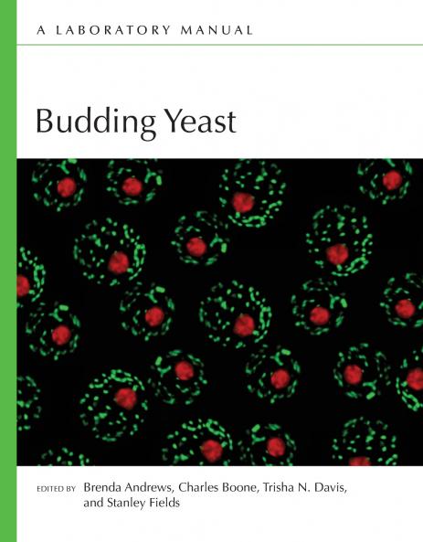 Budding Yeast