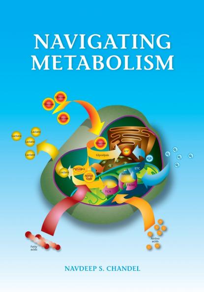 Navigating Metabolism