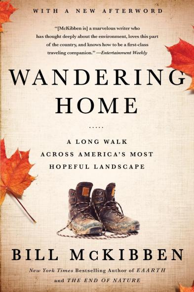 Wandering Home